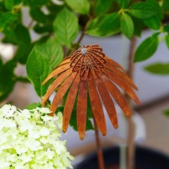 Bronze Rusted Echinacea Garden Stake Metal Art for Lawn and Flower Beds