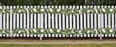 2 Pcs Pink 6.6Ft Artificial Eucalyptus Flower Garland with Fake Rose Flower Vine