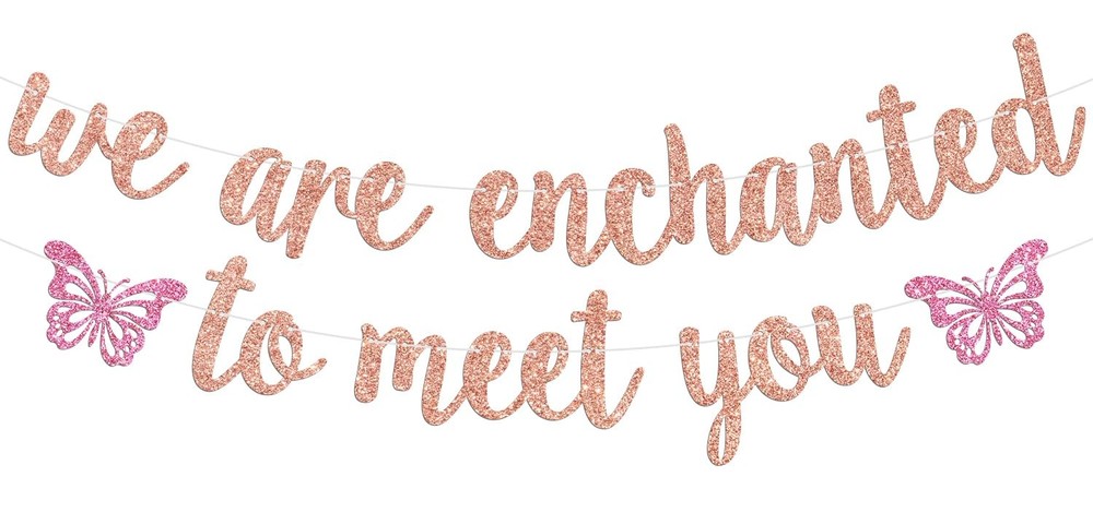 We’re Enchanted to Meet You Banner, Sweet Baby Shower Bunting Sign, Welcome B…