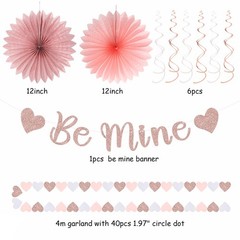 Blush-Light Pink Valentines-Day Galentines Party-Decorations – 22pcs Rose Gol…