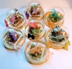FANTASY MINION PARTY Favor Pods Mini Succulent Terrariums, Birthday Party 6