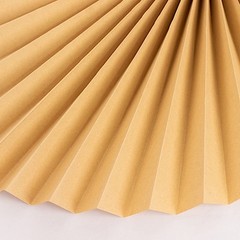 6 Natural 25″ Dried Tropical Palm Leaf Paper Fans Wedding Events Decorations