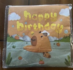 Capybara Birthday Party Decoration Lot