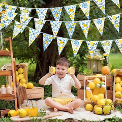 6PCS Lemon Garlands Lemon Party Decorations Lemons Bandana Pennant Banner Summer