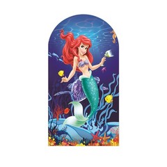 Little Mermaid Ariel Arch Backdrop Cover Birthday Party Photo Background Prop