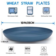 K Y KANGYUN 10 Inch Unbreakable Wheat Straw Dinner 10 INCH, Classic Bright
