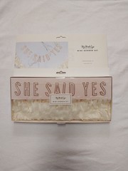 My Mind’s Eye She Said Yes Mini Banner Set 2 Pieces