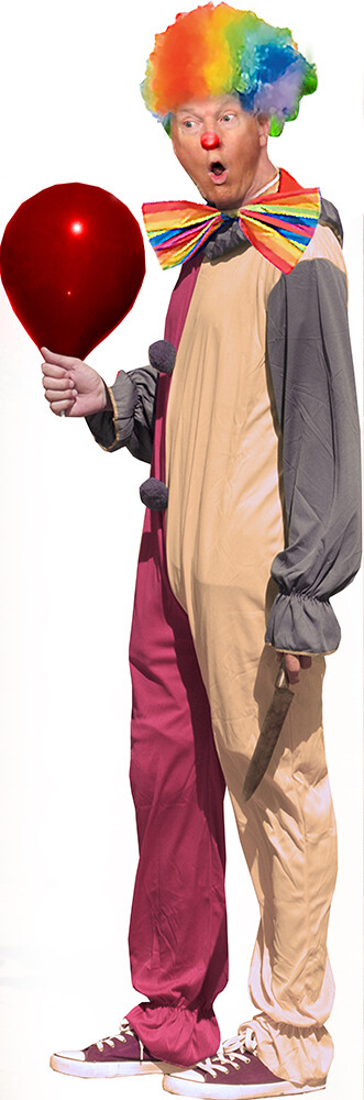 H38104 Clown Trump Cardboard Cutout Standup