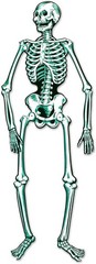 Jointed Skeleton Party Accessory 1 count 1/Pkg