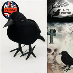Realistic Black Crow Halloween Prop Fake Bird Scary Raven Feather Decoration UK