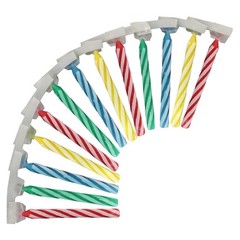 BEST PARTY EVER! Quick Light Birthday Candles – Lighting 2 pack, Multicolor