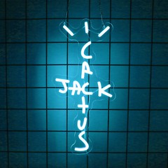Cactus Jack Neon Sign, LED Light for Home Bar, Party Decor Usb Powered Decor Bar