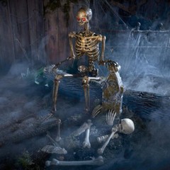 5 ft Poseable Human Size Decayed Skeleton Skull w/LED Eyes Halloween Decor Props