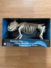 NEW Halloween Life Sized Dog Skeleton with LED Light Up Eyes Scary Spooky 18″