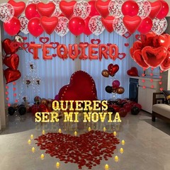 Quieres Ser Mi Novia Light Up Letters Proposal Decorations, 17Pcs 6.3″ Letter…