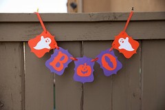 Halloween Party Banner Selections, Halloween Decorations, Halloween Party, USA