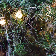 White Iridescent Tinsel Icicles Christmas Tree Decor 19.8 Inch 2000 PCS