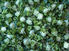6FT Artificial Eucalyptus Garland with Flowers, 10 White Roses Baby Breath