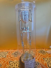 10” Gold Best Costume Skeleton Trophy Amscan Halloween Cosplay Party Supply