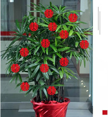 120Pcs Double Happiness Confetti – Traditional Chinese Red Paper Cutting Wedding