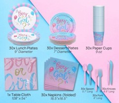 Jubi Gender Reveal Paper Dinnerware Set for 30 Guest 211 Pieces Pack