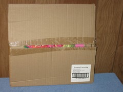 (12 packages of 3) Creative Converting Tahiti Tropics Party Assorted Cutouts