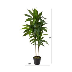Nearly Natural 48in Artificial Dracaena with Real Touch Leaves … FAST USA SHIP