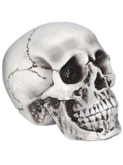 Foam Skull (6″ Dia.) Halloween Prop