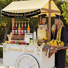 43 Pcs 2026 Graduation Freshly Lemonade Stand Complete Accessories Kit Lemon Bar
