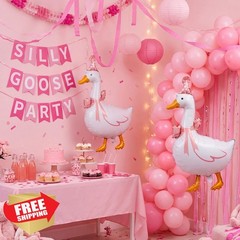 Soulchen 6 Pink Silly Goose Balloons