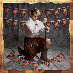 Hahafelt 6 Pcs 72 ft Medieval Fantasy Pennant Banner with Lion Design Medieval P