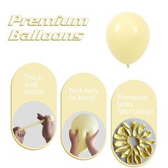 Pastel Yellow Balloons 145pcs Different Sizes 18 12 10 5 Inches Light Yellow …