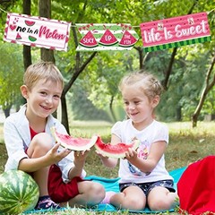 20 Pcs Watermelon Party Decorations Summer Watermelon Birthday Party Supplies