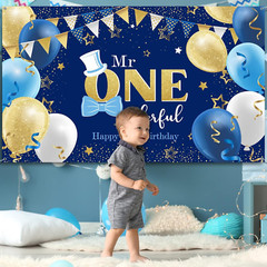 Irenare Boys 1St Birthday Decoration Mr. Onederful Birthday Party Supplies Boy 1