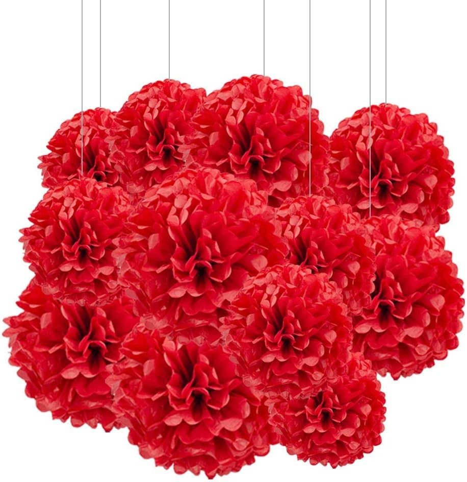 Red Paper Pom Poms 12pcs 12-10 Inch Party Ceiling Wall Hanging Tissue Decor