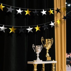 Stars Cutouts 6 Inch Double Printed Paper Star Cardboard Decor Mixed 60 PCS