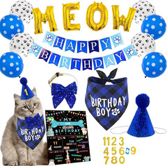 Cat Kitten Birthday Bandanas Cat Birthdays Party Supplies Party Hat Boy with Cat