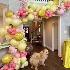 146Pcs Lemon Balloon Arch Garland Kit,Pink and Yellow Balloon Arch Kit with Lemo