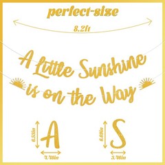 Boho Sunshine Baby Shower Decorations – A Little Sunshine is on the Way Banne…