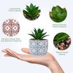 Karlliu Artificial Plants Succulent Flowers in 2.5X3.25 inch, Red & Blue