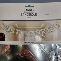 Just Married Silver Banner 5.5 ft