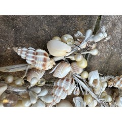 Seashell garlands Coastal Shell wire decor nautical natural marine beach ocean 2