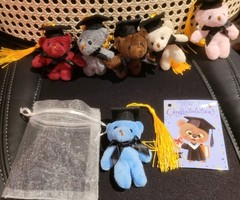 6 Mini Teddy Keychain Plush Multicolored Graduaction Bears W/ Cards & Gift Bags