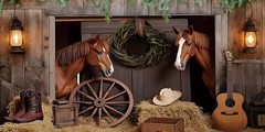 Western Backdrop 20x10ft Cowboy Party Decorations Wild West Rodeo Themed Banner