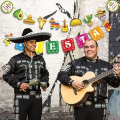 Fiesta Banner Cinco De Mayo Banner Mexican Party Supplies Cinco De Mayo Garla…