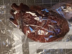Halloween cut off Heart Prop with bottle of blood meat hook Life Size Chop Shop