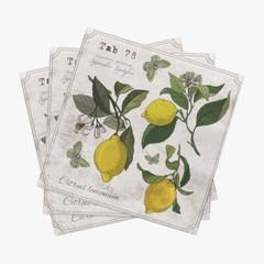 LEMON BOTANY Cocktail Paper Napkins 20pcs Decorative Napkins for Decoupage