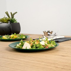 Restaurantware Moderna 9 Inch Premium Disposable Plates 40 Round Plastic Plates