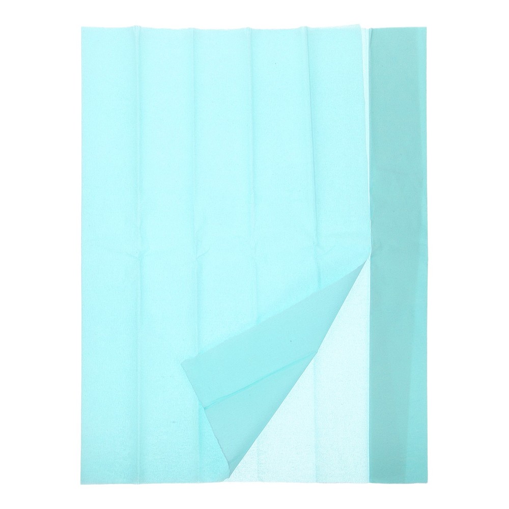 2pcs Crepe Paper Roll Crepe Paper Decor 3.3ft Long 20 Inch Wide, Light Blue
