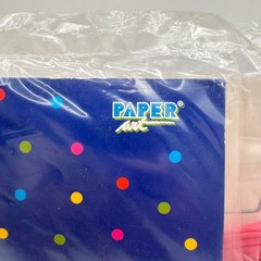 Party Lantern Raspberry Pink 12″ Round Paper Set of 2 by Paper Art NOS